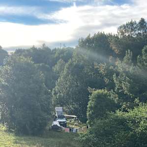 Booyong Farm - Hinterland Hideaway