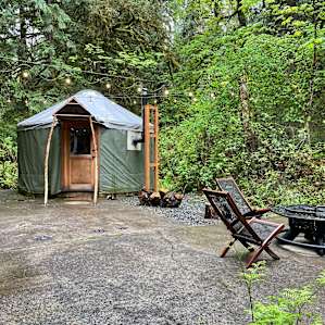 Cozy Yurt in the Forest