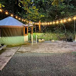 Cozy Yurt in the Forest