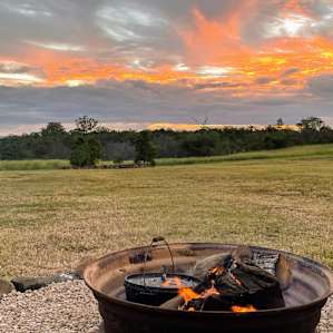 FigTree Camping with Ammenities