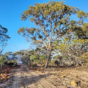 The road leading to Magpie.