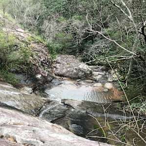 Weeping falls