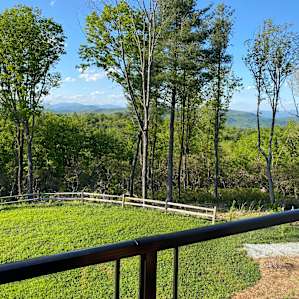 Terra Incognita Vineyard
