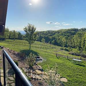 Terra Incognita Vineyard
