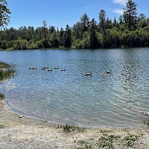 T18 - Laguna Landing at Finnon Lake