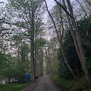 road leading to the a-frame, river and campsite on the left and a-frame on the right