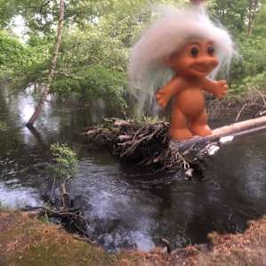 Our travel mascot, T. Roll, enjoying the river.