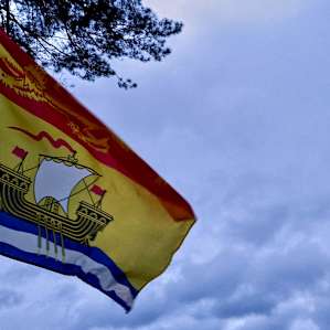 Flag above the river, blowing in the wind.