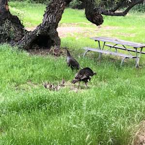 Some local friends