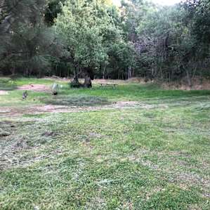 Main rv site