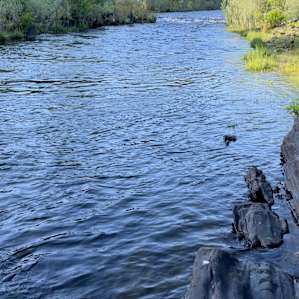Riverfront Campsites. Upper