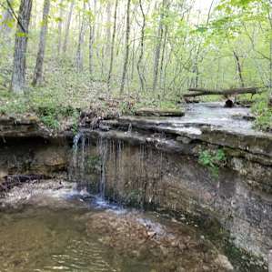 waterfall makes bathing easy. it's a little cold rt now....wait till june