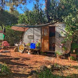 Vintage Rainbow Garden