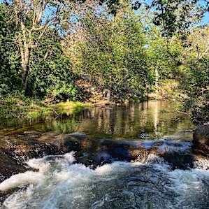 River out back