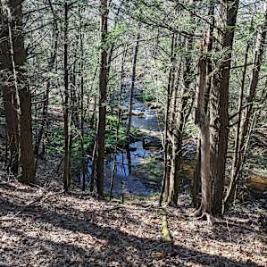 View of the river from the campsite, great background sound to hear the river rushing by.