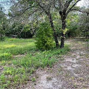 Along a trail to camp