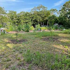 Rebecca's beautiful gardens