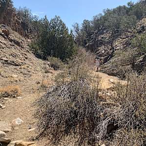 Hiking