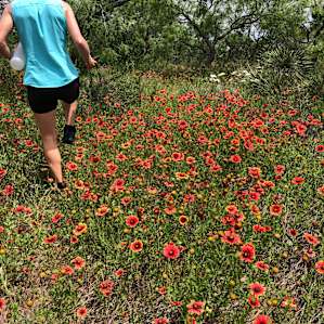 Rancho Ciela Plata