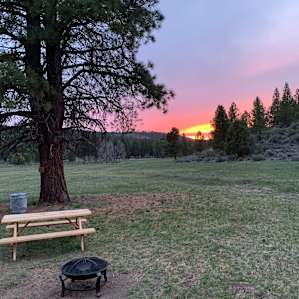 Sunset in secluded meadow