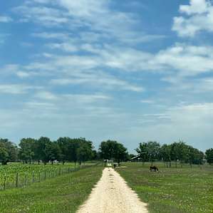 Road to peace!