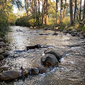 Omadale Brook