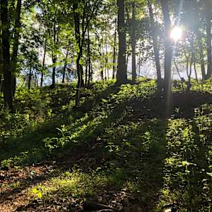 Creekside Camping, Forest & Field