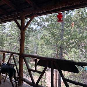 Greyledge Cabin