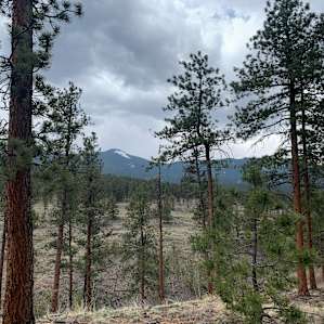 Greyledge Cabin