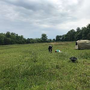 Creekside Camping, Forest & Field