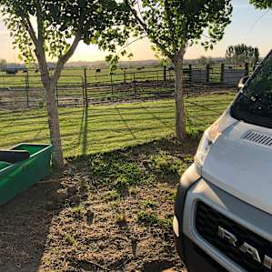 RV Sites dry and full. Tents