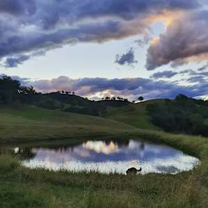 Wonnarrua Farm Camp