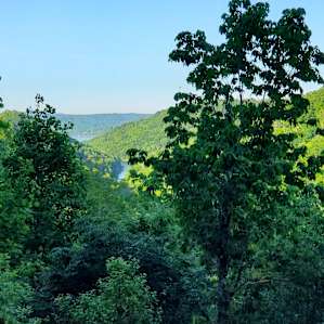 Cherry Hill Farm Tent Sites 1-4