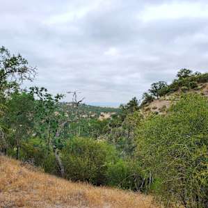 View from the trail