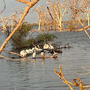 Wildlife refuge