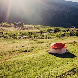 Manson / Lake Chelan Orchard Camp