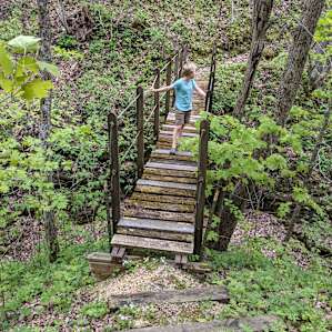 Cool bridge on the property
