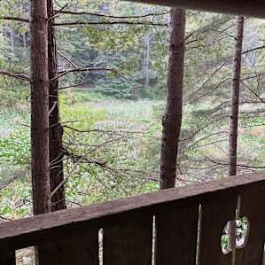 View of the beaver pond from the balcony