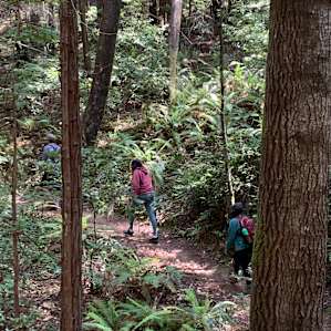 Hike to big tree