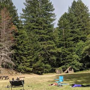 Lounging in the meadow