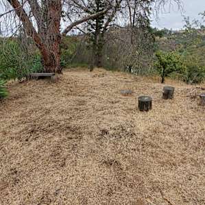 Another area at the Haunt-A-Cado site.