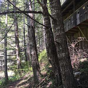 Historic Camping Cabin 36