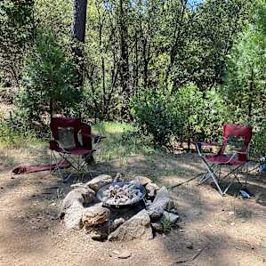Serene Forest Yurt