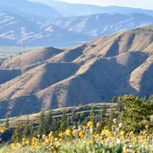 EARTHLIGHT CAMPGROUND 1