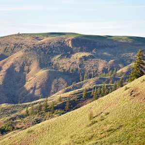 EARTHLIGHT CAMPGROUND 1