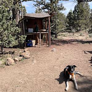 Camp kitchen
