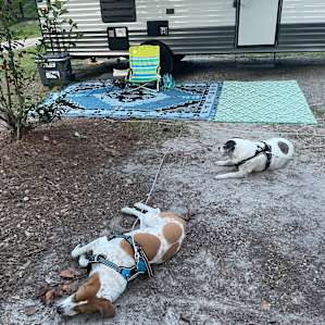 My boys worn out from enjoying the camp!