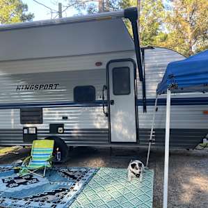 Camp pup.