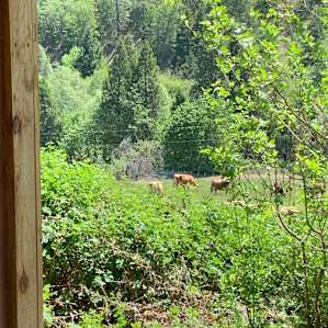 Sunrise Cabin at Yale Creek Farm