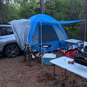 Pine forest, 5 minutes to the beach